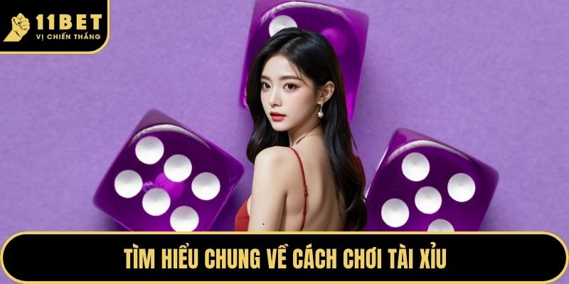 Tìm hiểu chung về cách chơi tài xỉu